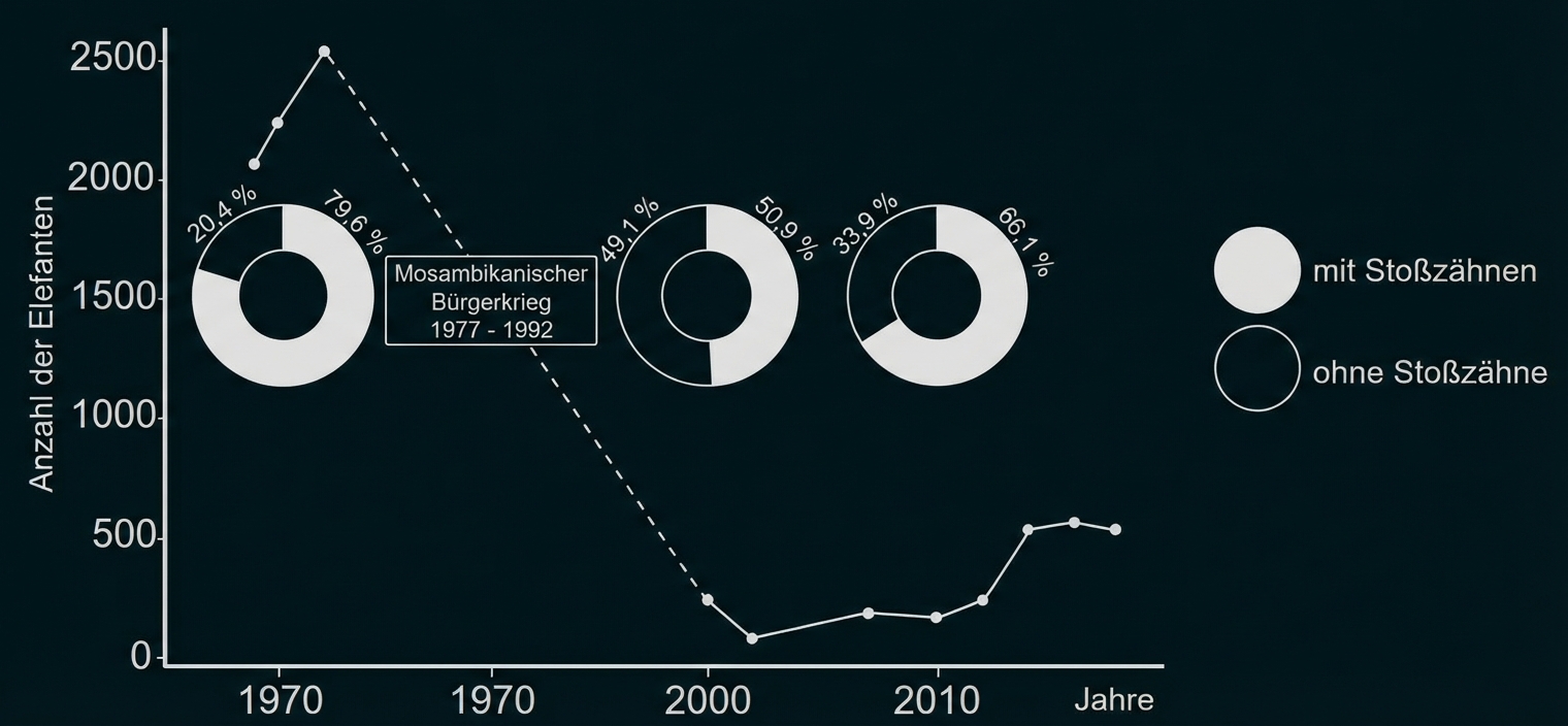 Liniendiagramm der Elefantenzahlen über Jahre, mit Kreisdiagrammen zu Anteil mit/ohne Stoßzähne und Hinweis auf mosambikanischen Bürgerkrieg